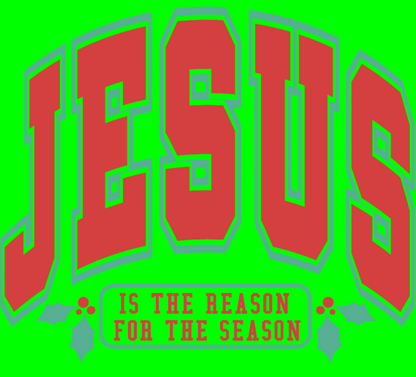 Jesus Is The Reason Shirt